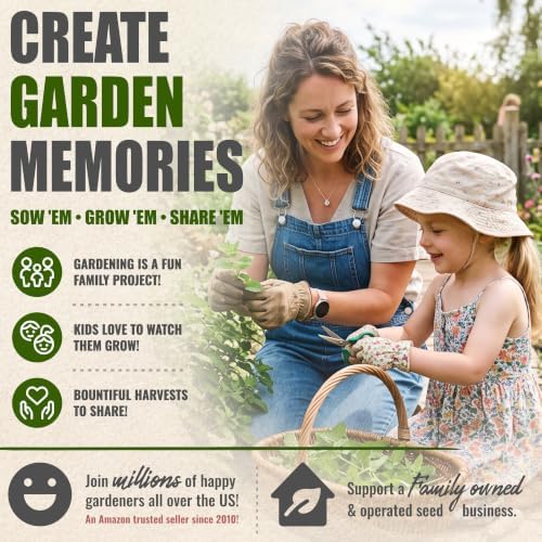Seed Needs Lemon Balm Seeds to Plant Non-GMO & Heirloom Tea Herbs XL Pack - Image 6