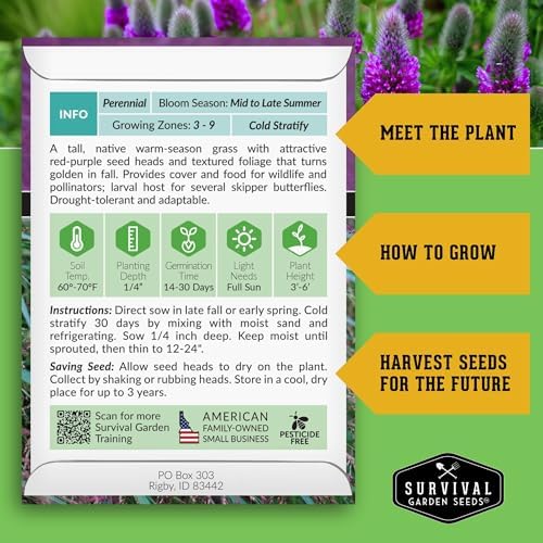 Purple Prairie Clover Seeds for Planting - 1 Pack - Image 2