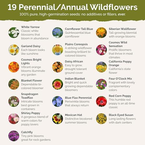 Eden Brothers New Mexico Wildflower Mixed Seeds for Planting, 1 lb - Image 3
