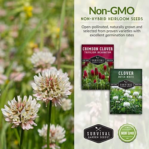 Clover Seeds 2 Variety Pack for Planting - Crimson & Dutch White - Image 5