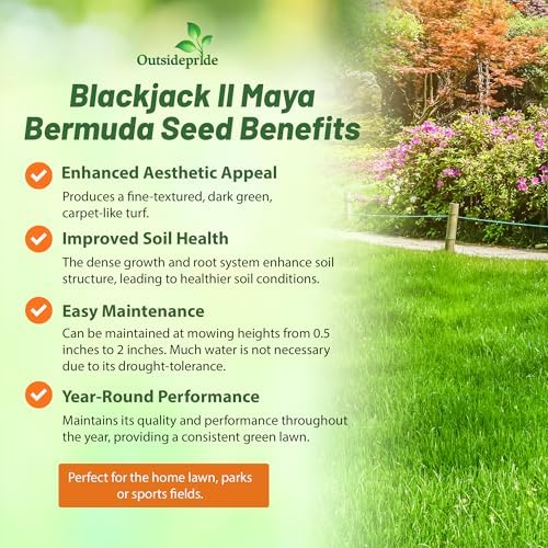 Outsidepride Maya (Blackjack II) Bermuda Grass Seed - 10 lbs Warm Season, Drought Tolerant, Fast Growing, Fine-Textured Bermuda Grass Seeds for Lawn, Parks, Golf Courses & Sports Fields - Image 3