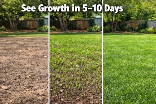 Grass Seed for Bare Spots & Lawn Repair – QUICK-2-GRO- Grows in Days – Fast Germinating Overseeding Mix for Thick Green Turf – Sun & Shade – 5 lb - Image 3