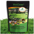 Outsidepride Perennial White MiniClover Seed - 1 lb. Dwarf, Small-Leaved, Drought & Wear-Tolerant Micro Clover Seeds for Lawn, Ideal Low-Maintenance & Easy to Grow Ground Cover Seeds for Home Yard by Outsidepride