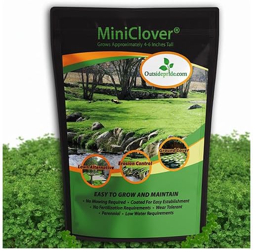 Outsidepride Perennial White MiniClover Seed - 1 lb. Dwarf, Small-Leaved, Drought & Wear-Tolerant Micro Clover Seeds for Lawn, Ideal Low-Maintenance & Easy to Grow Ground Cover Seeds for Home Yard by Outsidepride