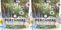 Perennial Species Mix - Large 1 Ounce Packet - 15,000 Flower Seeds for Planting - Wildflower Mix (Pack of 2) by FamilySown