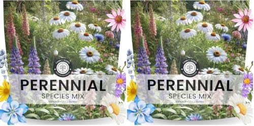 Perennial Species Mix - Large 1 Ounce Packet - 15,000 Flower Seeds for Planting - Wildflower Mix (Pack of 2) by FamilySown