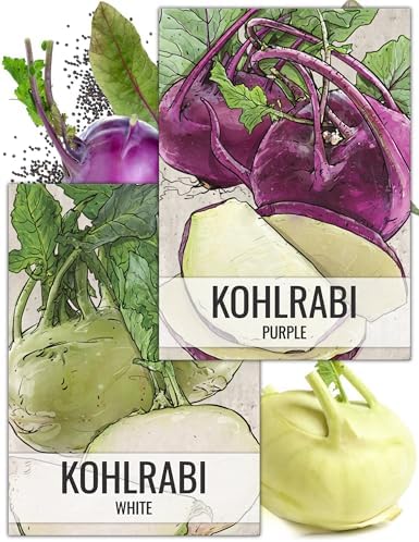 Seed Needs Kohlrabi Seeds Variety Pack of 2 Non-GMO & Heirloom Vegetables by SeedNeeds
