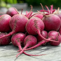 50+ Beet Seeds for Planting – Heirloom Non-GMO by Axel%27s+Garden+Seeds