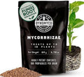 DYNOMYCO Mycorrhizal Fungi Inoculant, 50g/1.76oz by DYNOMYCO