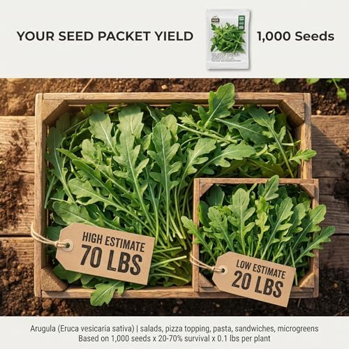 1000 Arugula Seeds for Planting - Slow Bolt Heirloom, Extended Harvest, Non-GMO, USA Grown by RDR Seeds - Image 2
