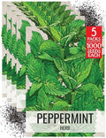 Seed Needs Peppermint Seeds to Plant an Herb Garden - 5 Packs by SeedNeeds