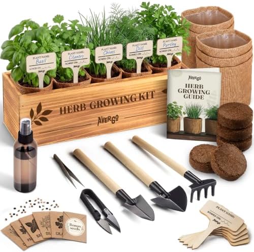 Indoor Herb Garden Kit, Herb Growing Kit for Kitchen and Windowsill by Plantingseedsgrowingdreams