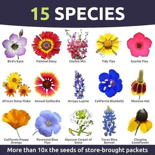 Southwest Regional Mix - Large 1 Ounce Packet - 15,000 Flower Seeds for Planting - Wildflower Mix - Image 3