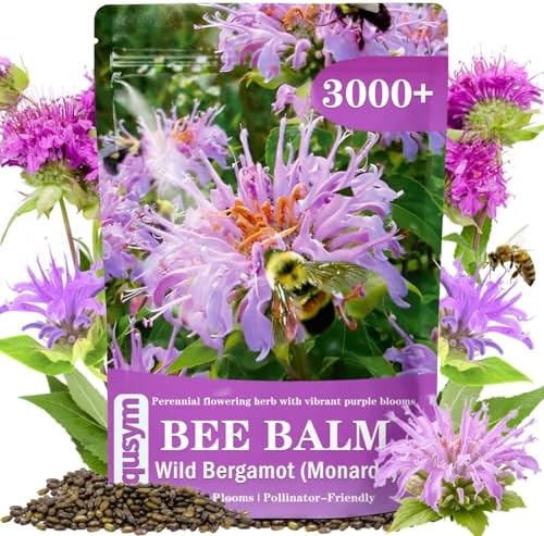 3000+ Bee Balm Seeds for Planting, Monarda fistulosa Wildflower Seeds by Unknown
