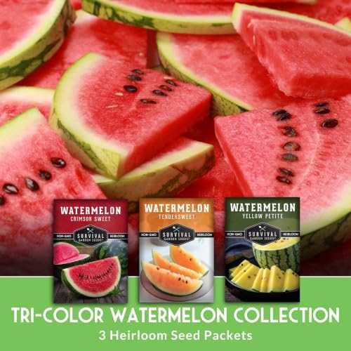 Tri-Color Watermelon Seeds for Planting - Heirloom Variety Pack - Image 3