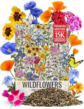 Seed Needs Wildflower Seeds Low Growing 1 Ounce Heirloom Bulk Pack by SeedNeeds