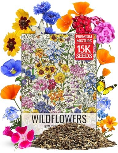 Seed Needs Wildflower Seeds Low Growing 1 Ounce Heirloom Bulk Pack by SeedNeeds