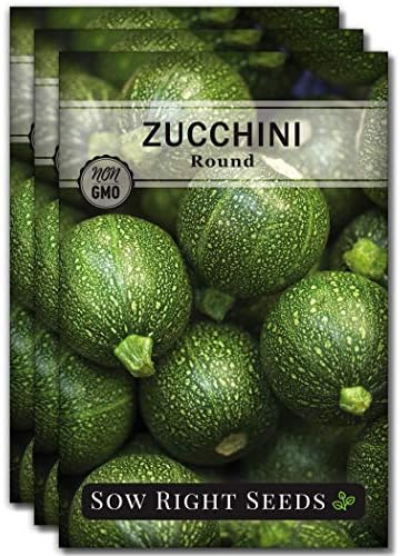 Sow Right Seeds - Round Zucchini Seed for Planting Summer Squash Garden 3pk by SowRightSeeds