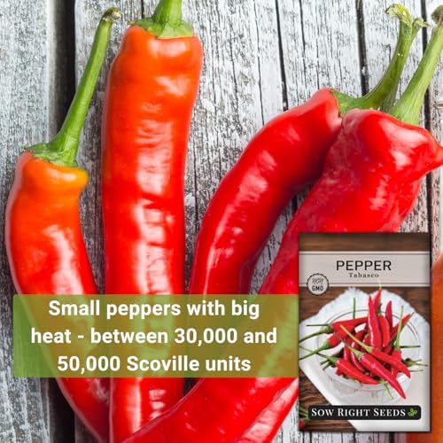 Sow Right Seeds - Tabasco Pepper Seed for Planting Outdoor Hot Peppers - Image 3