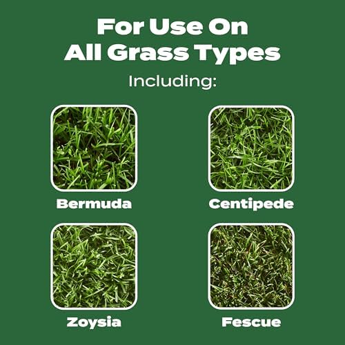Scotts Turf Builder Lawn Food, 37.50 lbs. - Image 5