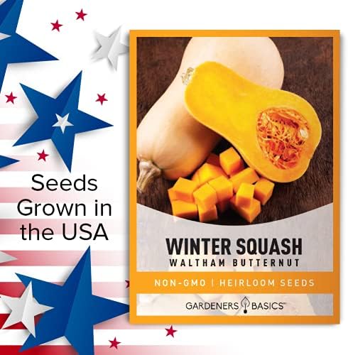 Gardeners Basics, Butternut Squash Seeds for Planting - Waltham Heirloom Non-GMO Winter Storage Vegetable Plant for Home Garden Vegetables Makes a Great Gift for Gardening - Image 3
