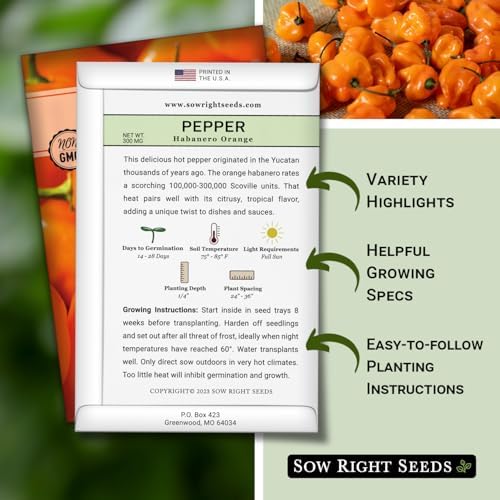 Sow Right Seeds - Habanero Orange Pepper Seed for Planting Chili Peppers - Image 2