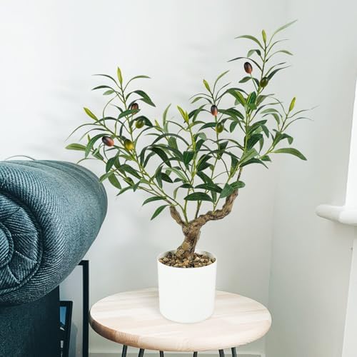 Caxchiling Artificial Olive Tree 2FT, Faux Potted Tree Indoor - Image 6