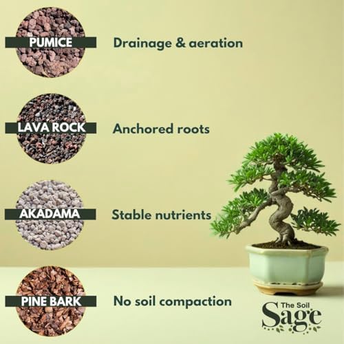 5 Qt Premium Bonsai Mix with Akadama | High Drainage Potting - USA Made - Image 5
