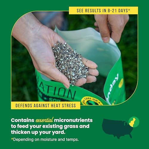 Sunday Northeast Grass Seed & Fertilizer - Tall Fescue, 10 lb - Image 5
