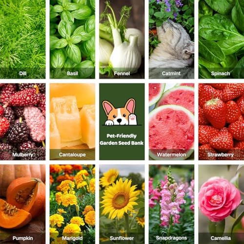Lush&Dew Pet-Friendly Heirloom Seed Bank, Gardening Gifts for Women Men - Image 7