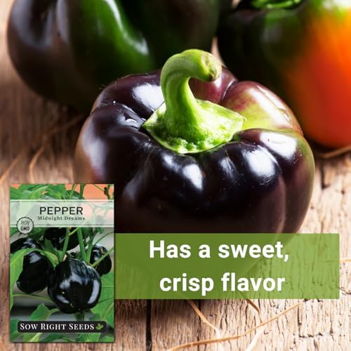 Sow Right Seeds - Midnight Dream Pepper Seed for Planting Bell Peppers - Image 5