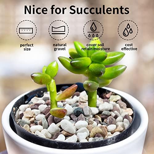 FANTIAN 2 lbs Pebbles for Indoor Plants, 3/8 inch Pea Gravel, Mixed Color - Image 5