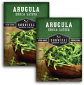 Arugula Seeds for Planting - Survival Garden Seeds (2 Pack) by SurvivalGardenSeeds