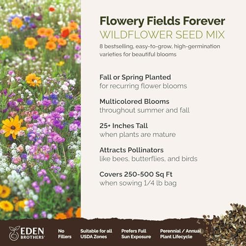 Eden Brothers Flowery Fields Forever Flower Mixed Seeds for Planting, 1/4 lb, 120,000+ Seeds with Cornflower, Candytuft | Attracts Pollinators, Plant in Spring or Fall, Zones 3, 4, 5, 6, 7, 8, 9, 10 - Image 2