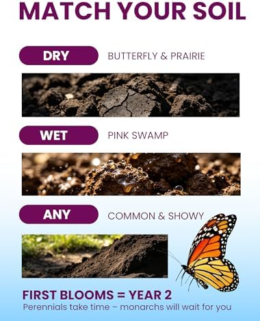 Wildflower Seeds – Monarch Cafe Milkweed Mix, 5 Heirloom Varieties 100% Native Milkweeds, 2,500+ Seeds (40g) Covers 80-100 sq.ft., High Germination for Monarch Butterfly Garden - Image 6