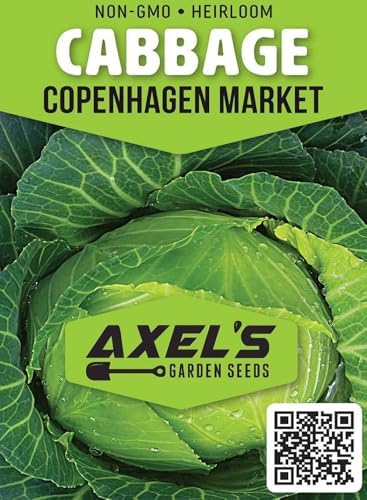 Cabbage Seeds for Planting - Plant & Grow Heirloom Cabbage Varieties Home Outdoor Garden – Easy Grow Planting Packet Instructions Included, Great Gardening Gift – 2 Packets of Each Variety - Image 3