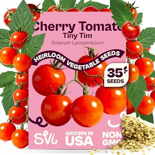 SVI 35 Cherry Tiny Tim Tomato Seeds (Solanum Lycoperscium) - Dwarf Cherry Tomato Seed Packets, Sweet Mini Tomatoes - Heirloom Vegetable Seeds for Containers, Patio, Indoor & Outdoor Garden by SVI