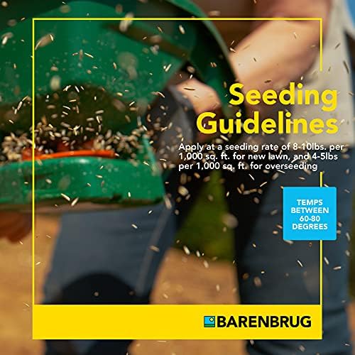 Barenbrug Turf Star Regenerating Perennial Ryegrass Lawn Seed with Yellow Jacket Seed Coating, Fast-Acting Durable Grass Seed Mix for Lawns, 25-lb. Bag - Image 4
