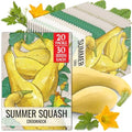 Seed Needs Crookneck Summer Squash Seeds to Plant Vegetables - 20 Packs by SeedNeeds