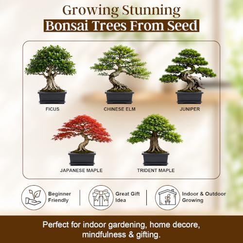 Bonsai Starter Kit for Growing Trees - DIY 5X Unique Japanese Bonsai Trees - Image 3