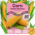 SVI 80 Golden Bantam Sweet Corn Seeds (Zea mays) – Yellow Sweet Corn Seed Packets Non GMO – Fast Growing Heirloom Vegetable Seeds, Outdoor Vegetable Garden & Home Garden by SVI