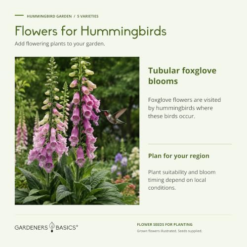 Gardeners Basics Hummingbird Garden Flower Seeds for Planting, 5 Varieties - Image 7