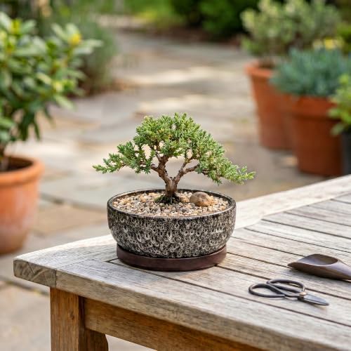Succulent Pots 6 Inch, Ceramic Bonsai Pots with Tray, White Leopard - Image 4