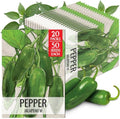 Seed Needs Jalapeño M Hot Pepper Seeds to Plant Vegetables - 20 Packs by SeedNeeds