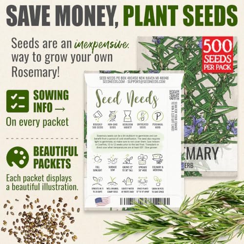 Seed Needs Rosemary Seeds to Plant Non-GMO Heirloom Culinary Herbs XL Pack - Image 3