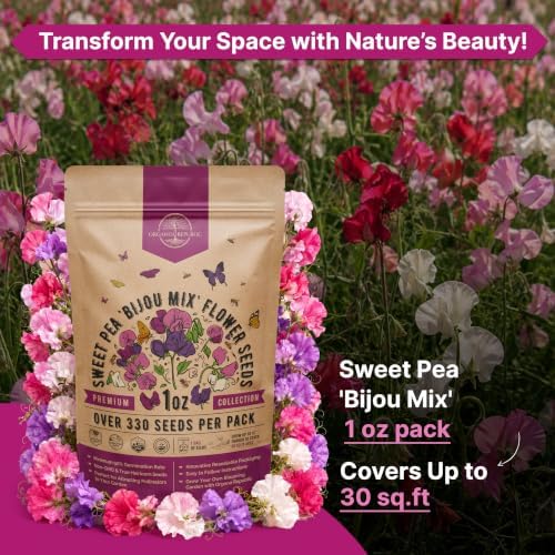 Sweet Pea Bijou Mix Seeds 1oz - Over 330 Non-GMO Heirloom Seeds for Planting, Individual Packet for Planting Home Garden Indoor & Outdoor Gardening - Image 4