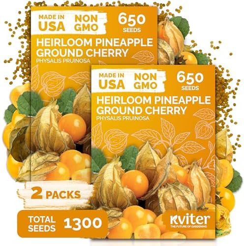 1,300 Pineapple Ground Cherry Heirloom Vegetable Seeds, Physalis Pruinosa by KVITER