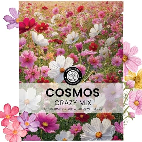 Crazy Cosmos Mix - Large 5g Envelope - 600 Flower Seeds for Planting - Cosmos bipinnatus by FamilySown
