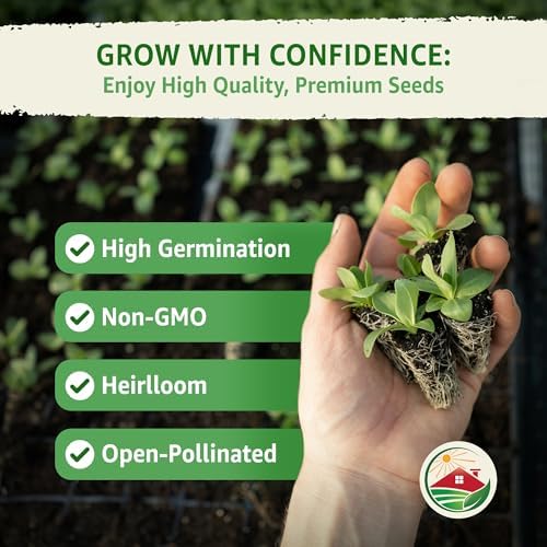 1500+ Bok Choy Seeds for Planting, Baby Asian Greens - Image 2