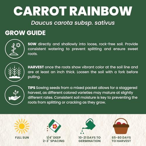 Carrot Rainbow Mix – 4,500 Premium Heirloom Seeds for Planting – Colorful, Sweet Root Blend for Garden & Kitchen for the 2026 Season – 5 Gram Pouch - Image 4